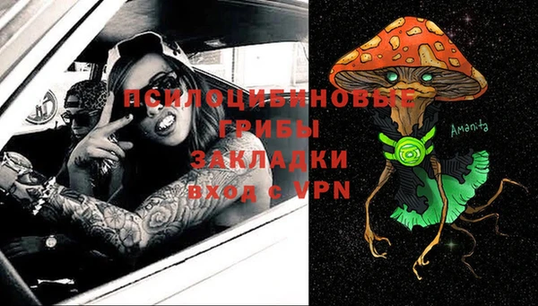a pvp Богданович